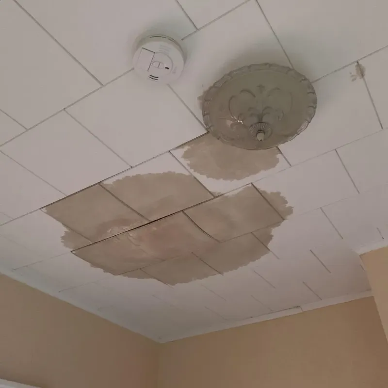 Ceiling Water Damage Repair in Mason, TX