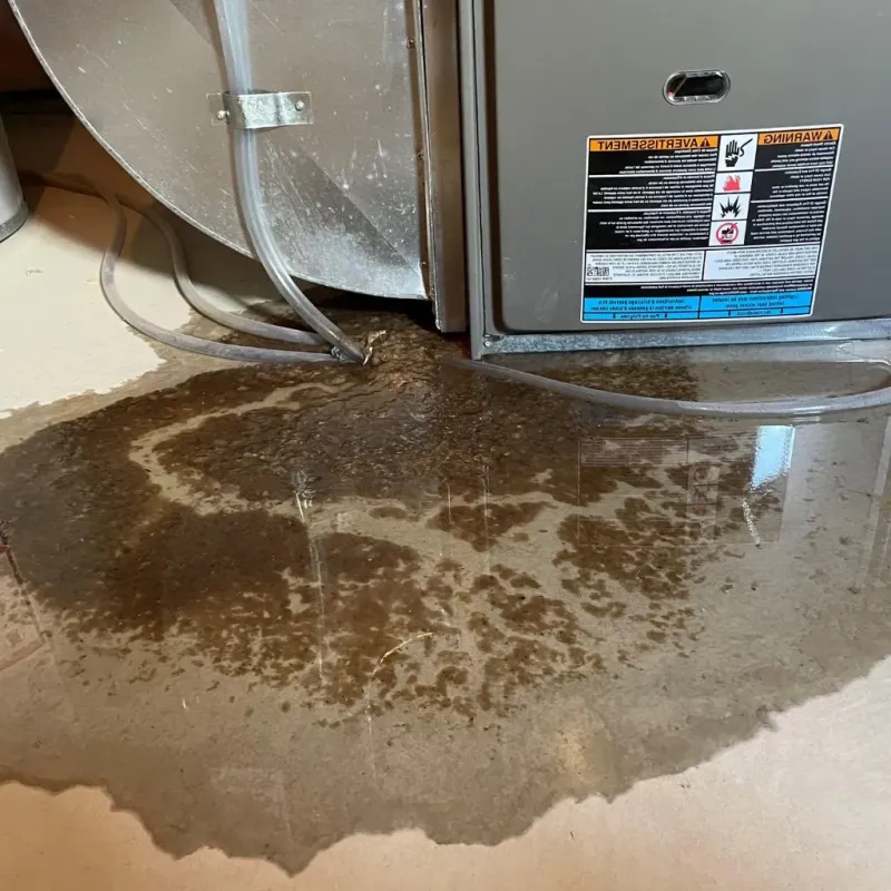 Pipe Burst and Leak Restoration in Mason, TX