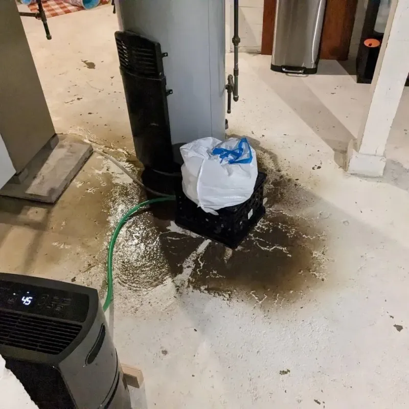 Sewage Backup Cleanup Service in Mason, TX